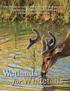 Wetlands. for Whitetails