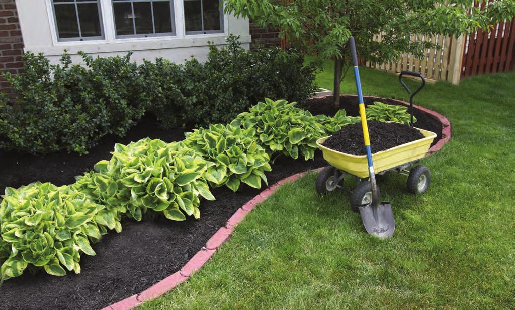 Prepping Your Yard For for Spring Your shrubs Much like your trees, you ll want to make sure that you have a good layer of mulch around the bases of your shrubs, and you ll want to prune away dead