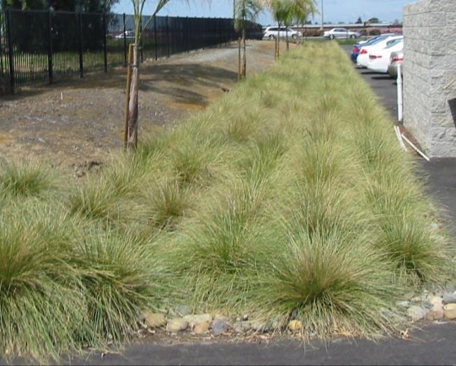 Bioretention Area Concave landscaped area of any shape Special biotreatment soil with specified infiltration rate (5-10 in/hr)
