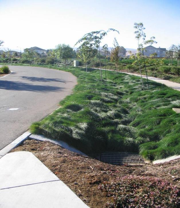Vegetated Swale (NOT a stand-alone treatment measure unless stormwater filtered through bioretention soils) Linear, shallow, vegetated