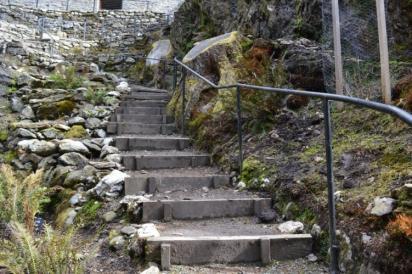 There are 44 steps leading to the Fernery with a handrail to one side. There are a further 24 steps within the Fernery.