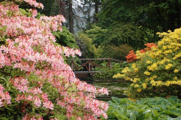 1.0 Our Accessibility Promise to You Benmore Botanic Garden Access Statement Benmore Botanic Garden welcomes all visitors and aims to provide best possible access to everyone in order that they enjoy