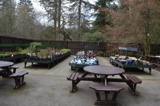6.0 Before You Leave After your tour of Benmore Botanic Garden, why not visit our shop or plant sales area to select a souvenir before you depart.