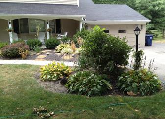 A typical $5,000 renovation includes: On-site consultations Develop and review plan Removal of existing plants, mulch and soil Installation of new beds