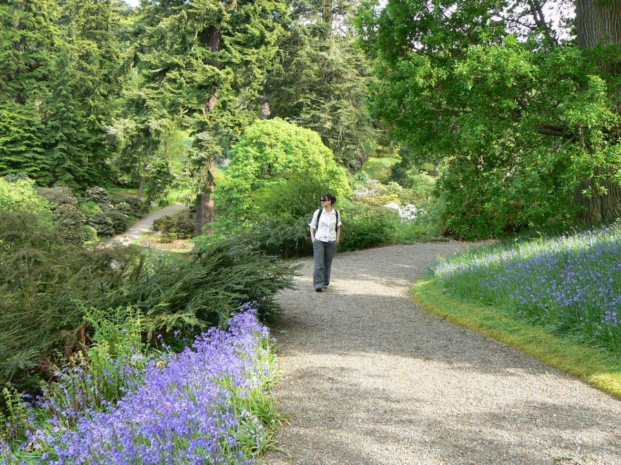 1.0 Our Accessibility Promise to You Dawyck Botanic Garden Access Statement Dawyck Botanic Garden welcomes all visitors and aims to provide best possible access to everyone in order that they enjoy