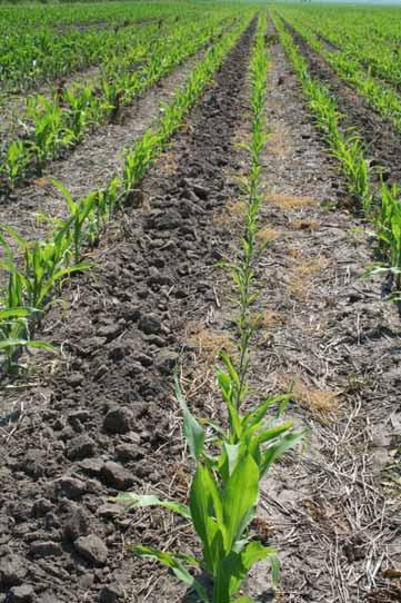 Soil water conservation Tillage increases air exposure
