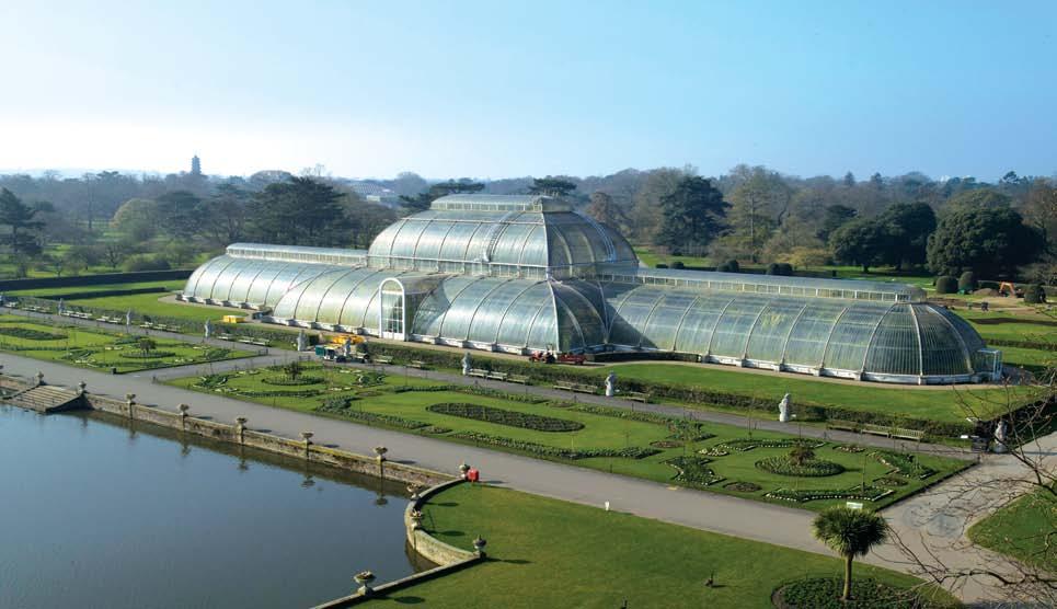 Background Information Introduction to Royal Botanic Gardens (RBG) Kew The RBG Kew is an internationally recognised centre of excellence in the field of botanical research.