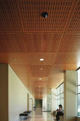 Employees Globally TechZone Ceilings WoodWorks Ceilings