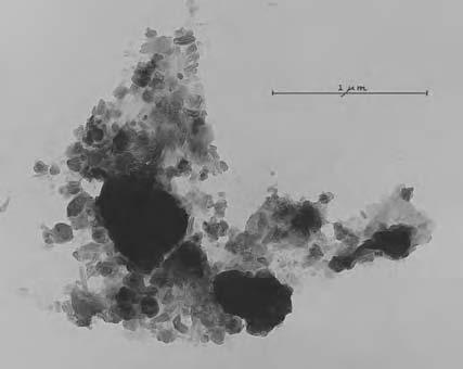 2 Microaggregate from an Oxisol coated with a substance that