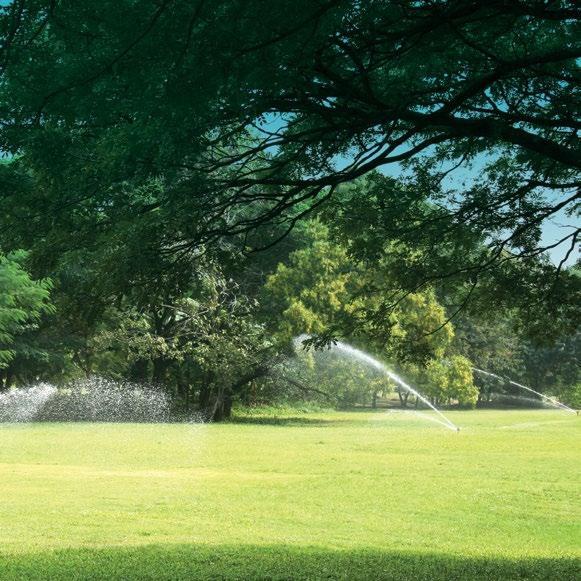 Our certified irrigation team can optimize the system you have or install a new one whatever works best for you.