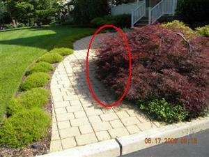 Cutback or remove vegetation to allow use of walkways. 1.