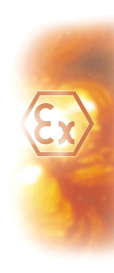 ATEX ADVANTAGE Explosion Protection Directive 94/9/EC New safety requirements for