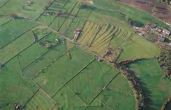 Fig. 9. Bakewell, Derbyshire. Grid-like, straight-edged, fields, probably the result of large-scale 18th-century enclosure, overlie medieval lynchets.