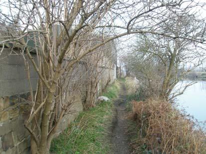 Newton and the River Don Within the settlement the lane is quite broad, and is of a simple character with green verges to either side, which complement the area.