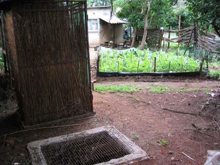 A family should provide enough excreta, when combined and composted with soil, leaves and wood ash