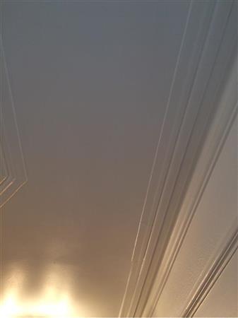 Ceiling (Hallway) White painted over plaster.
