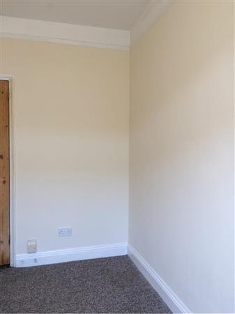 Walls and skirting boards (Reception room 2) Magnolia painted