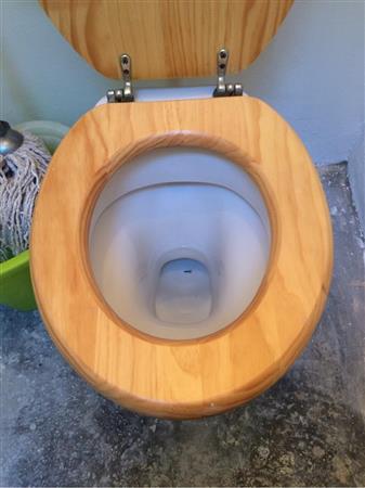 cream cistern. Pine effect wooden seat.