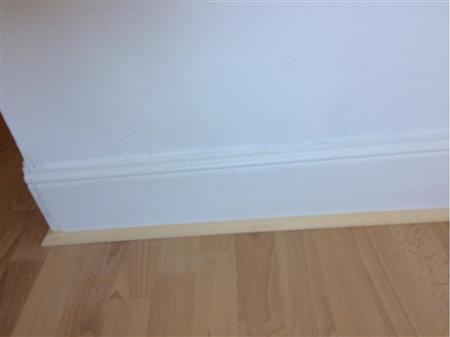 Walls and skirting boards (Rear Bedroom ) White