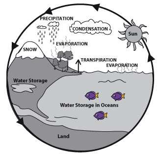 Falling temperatures can affect the water cycle by.