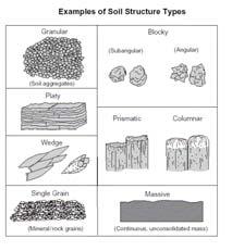 Where To Look At Soils Master Horizons Oi Organic soil material, mostly visible litter, detritus and fiber Oe Organic soil material of intermediate or very mixed decomposition states Organic soil