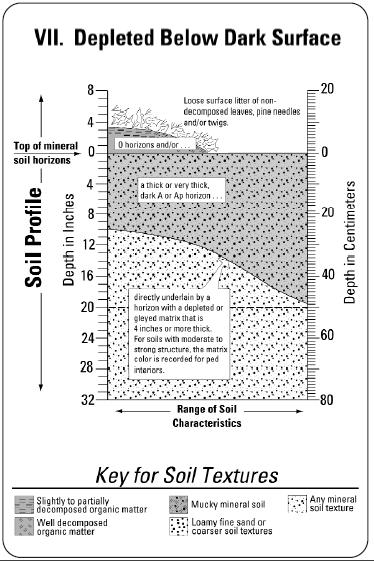 References Stolt. M.H., Lesinski, B.C. and Wright, W. 2001. Micromorphology of Seasonally Saturated Soils in Carboniferous Glacial Till. Soil Science 166:6. U.S. Department of Agriculture, Natural Resources Conservation Service.