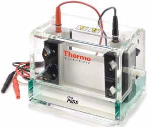 u electrophoresis Thermo Scientific Owl P8DS Dual-Gel Vertical Electrophoresis System Ideal for two-dimensional electrophoresis Quickly and easily casts and runs 1 or 2 gels in the same device