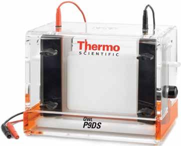 u electrophoresis Thermo Scientific Owl P9DS Dual-Gel Vertical Electrophoresis Systems Ideal for two-dimensional electrophoresis Quickly and easily casts and runs 1 or 2 gels in the same device
