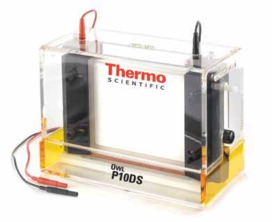 u electrophoresis Thermo Scientific Owl P10DS Dual-Gel Vertical Electrophoresis Systems Ideal for second dimension protocols of 2-D electrophoresis applications Optimal device for a large number of