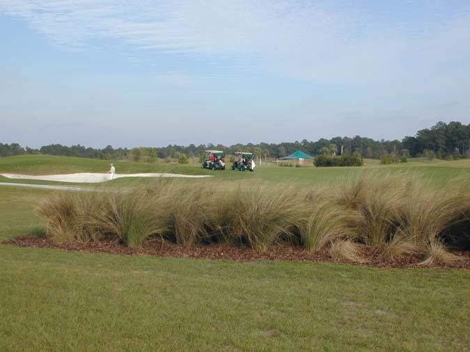 Farm operators Specialized turf managers Golf
