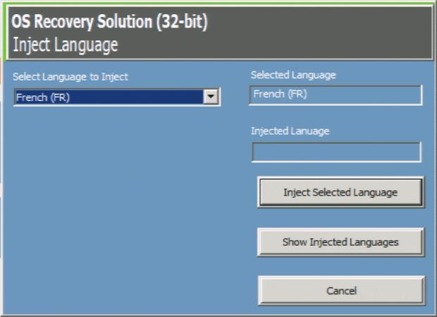 5. Choose a language from the drop-down menu and click Inject Selected Language. 6.