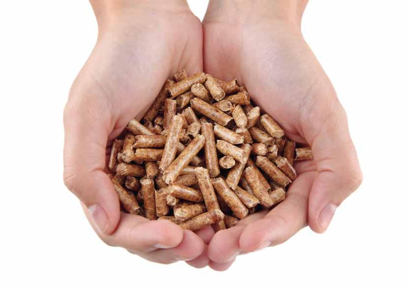 The Pellet The pellet is a wood based granulate fuel made from sawdust shavings.