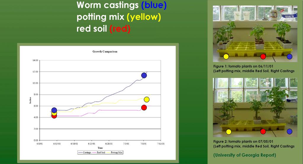 If you are an organic farmer and would like to use worm byproducts on your farm, then start an agricultural worm bed (you may need more than one if you have a large area under cultivation).