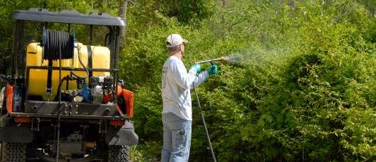 Controlling Invasive Plants Chemical Control Homeowner products include active ingredients: Glyphosate Triclopyr Pesticides are classified as