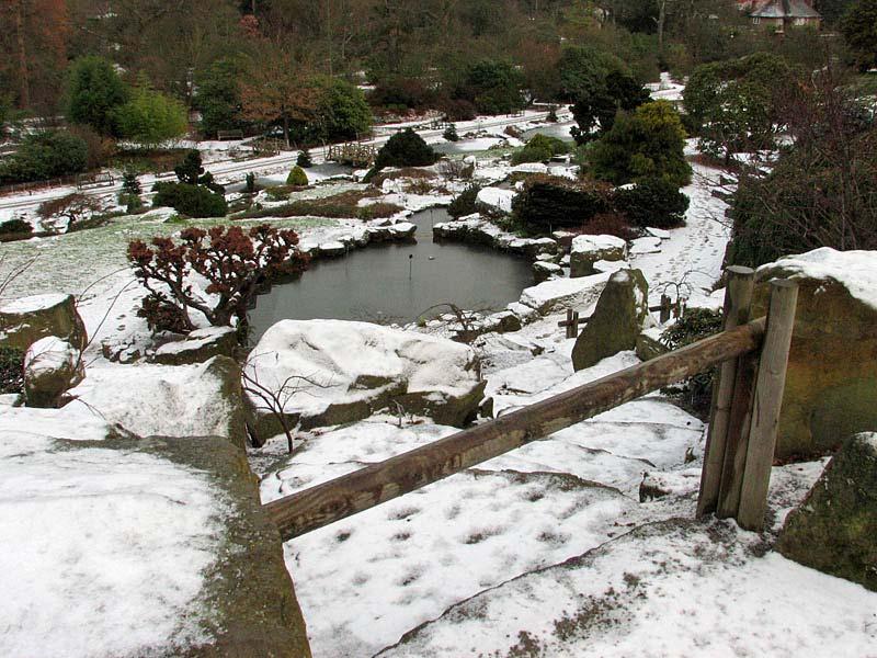 Though it may be cold, the weather brings some unusual sights. It is rare these days to see snow on the Rock Garden.