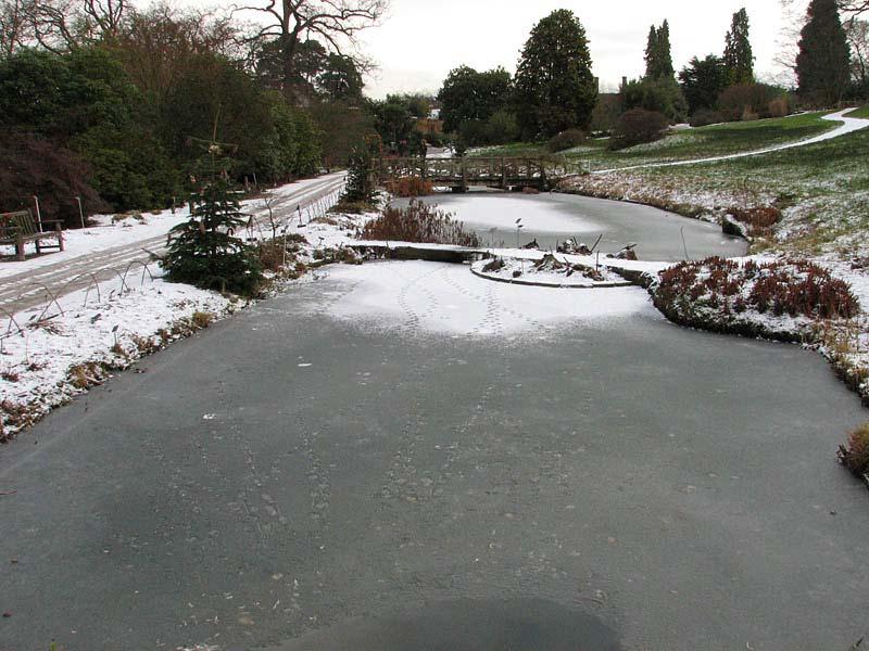 Where snow had fallen on the frozen ponds it was