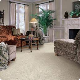 Albuquerque Carpet Cleaning Guide Commonly Asked