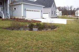 Rain gardens are designed to pond for a few hours at a time.
