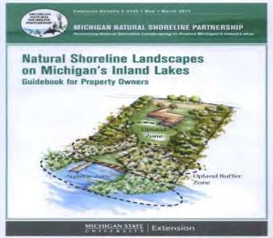 Natural Shoreline Landscapes on MI Inland Lakes Workshop for Property Owners Introduction This workshop is based on: Natural
