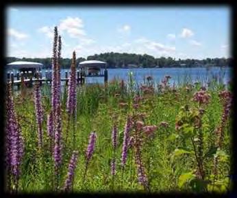 Natural Shoreline Landscapes on Michigan Inland Lakes Chapter 3: Planning a Natural Shoreline Landscape