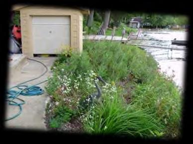Natural Shoreline Landscapes on MI Inland Lakes Workshop for Property Owners Chapter 3: Planning a