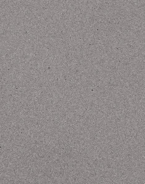 4033 Rugged Concrete Texture accentuates unique gradients of grey camouflaged by billows of white,