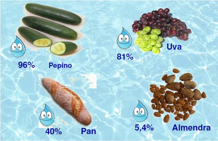In food Grape Cucumber Bread Almonds But water distribution is unequal in the world With 70% of the planet covered in water, it is hard to imagine
