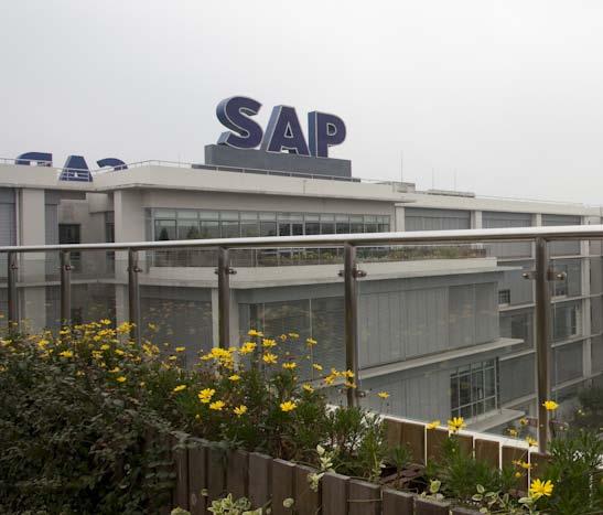 Do not use the individual letters of SAP to represent the brand.