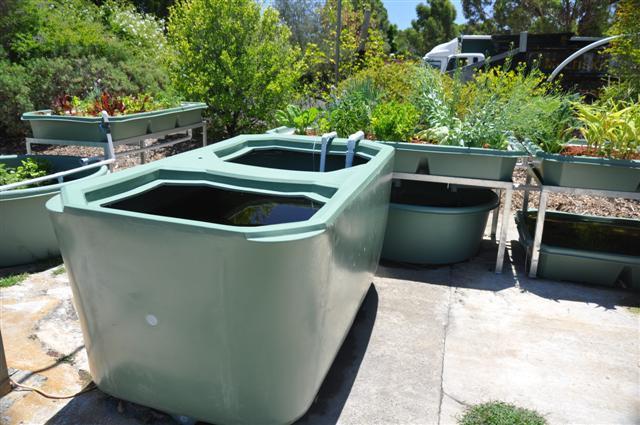 Garden week will be between the 16th and 21st of April at Perry Lakes in Floreat. We hope to see you there. The new insulated tank design we mentioned in the last news letter has been performing well.