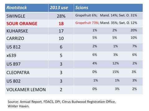 Sour orange was the 2 nd most popular rootstock in 2013 as recorded by the Citrus Budwood Registration Office.
