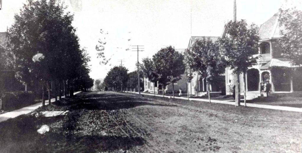 Street Tree Renewal 1910 Source: