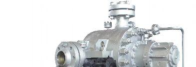 Series НДг and НМДг Process Pumps for Hot Refined Products НДг Series Single Stage Radially Split Barrel-Insert Pumps НДМг Series Radially Split Multistage Segmental / Barrel-Insert Pumps