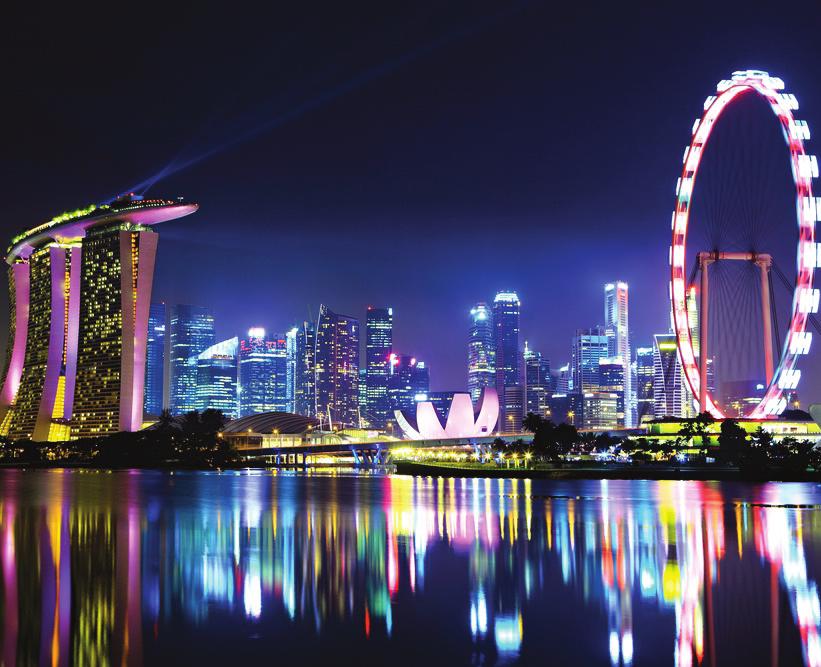 Singapūras modernus, inovatyvus, ekonomiškai stiprus, turistų kupinas miestas. 9. Patirtis. Architektūros srityje sukaupta 15 metų darbo praktika.
