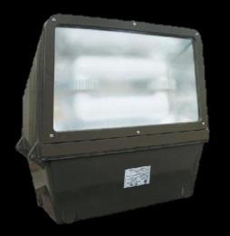 INDUCTION PRODUCTS Flood Light: Wattages